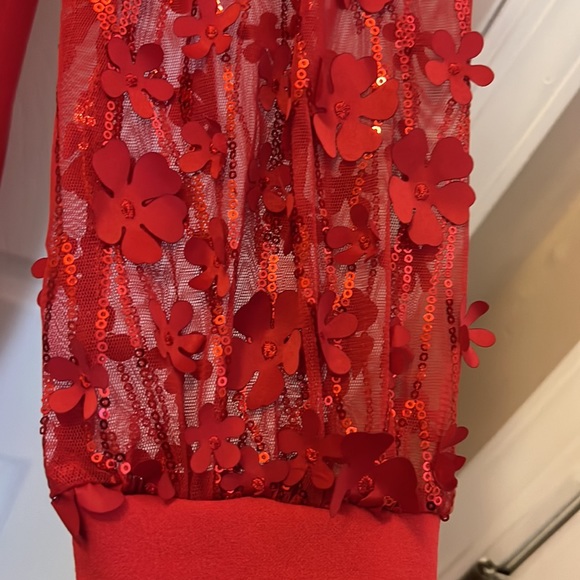 Red Dress - Picture 8 of 8